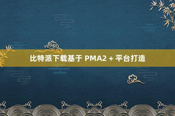比特派下载基于 PMA2 + 平台打造