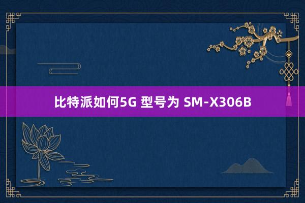比特派如何5G 型号为 SM-X306B