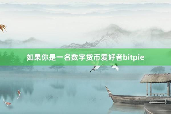 如果你是一名数字货币爱好者bitpie