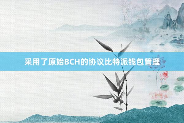 采用了原始BCH的协议比特派钱包管理