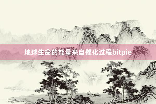 地球生命的能量来自催化过程bitpie