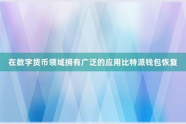 在数字货币领域拥有广泛的应用比特派钱包恢复