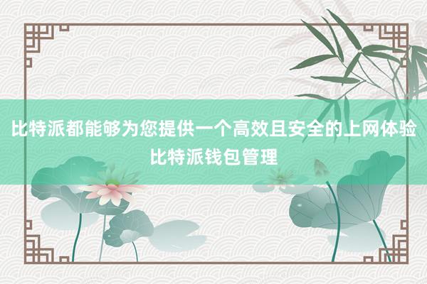 比特派都能够为您提供一个高效且安全的上网体验比特派钱包管理