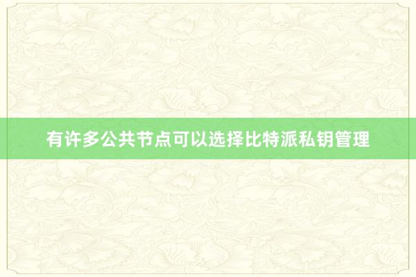 有许多公共节点可以选择比特派私钥管理