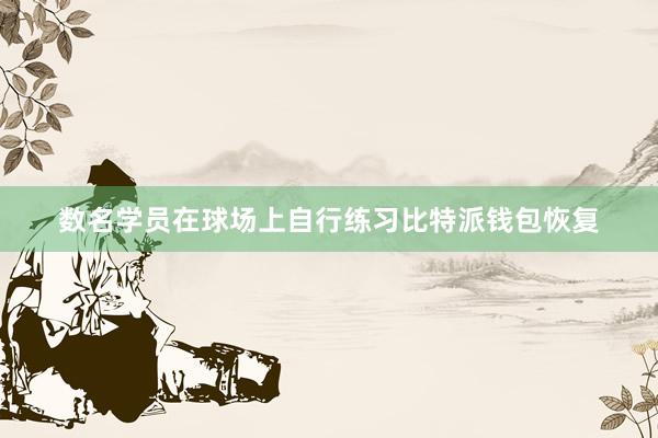 数名学员在球场上自行练习比特派钱包恢复