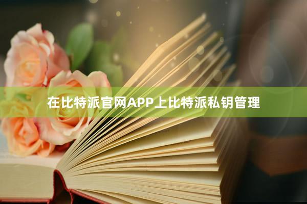 在比特派官网APP上比特派私钥管理