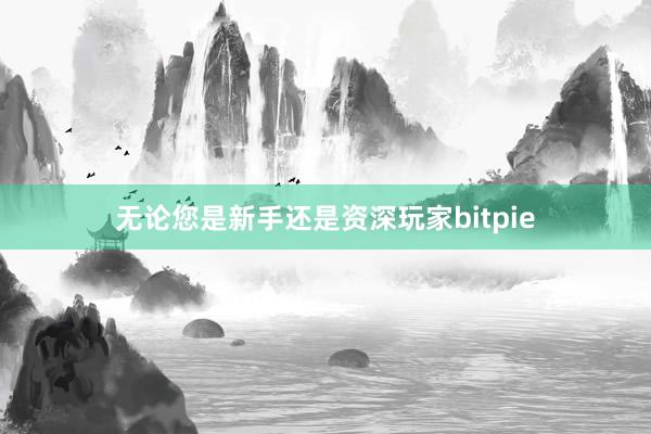 无论您是新手还是资深玩家bitpie