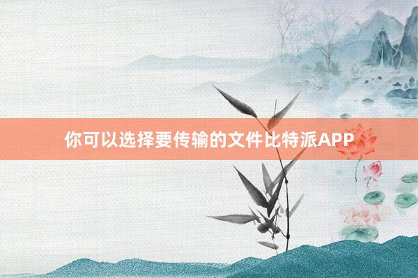 你可以选择要传输的文件比特派APP