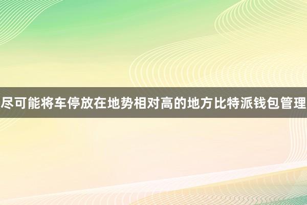 尽可能将车停放在地势相对高的地方比特派钱包管理