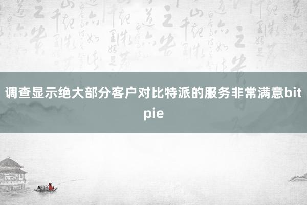 调查显示绝大部分客户对比特派的服务非常满意bitpie