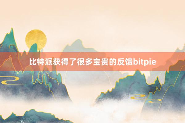 比特派获得了很多宝贵的反馈bitpie