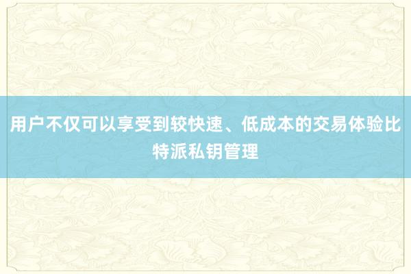 用户不仅可以享受到较快速、低成本的交易体验比特派私钥管理