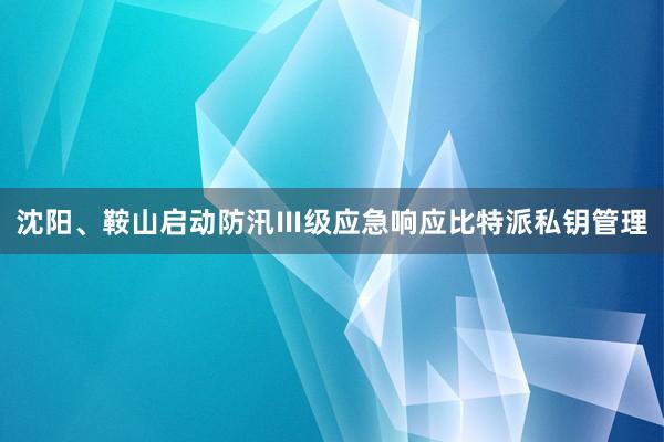 沈阳、鞍山启动防汛Ⅲ级应急响应比特派私钥管理