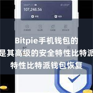 Bitpie手机钱包的优势之一是其高级的安全特性比特派钱包恢复