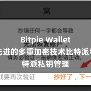 Bitpie Wallet采用最先进的多重加密技术比特派私钥管理