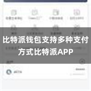 比特派钱包支持多种支付方式比特派APP