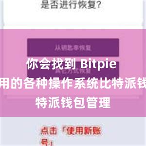 你会找到 Bitpie 钱包适用的各种操作系统比特派钱包管理