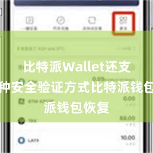 比特派Wallet还支持多种安全验证方式比特派钱包恢复