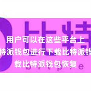 用户可以在这些平台上找到比特派钱包进行下载比特派钱包恢复